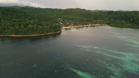 Lush-Green-Forest-At-Mamangal-Beach-Resort-In-Virac,-Catanduanes,-Philippines