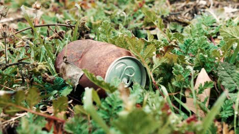 close-up-old-rusty-soda-scrap-can-left-for-litter-laying-in-nature-grass-field