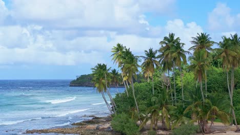 Palmen-An-Einem-Einsamen-Sandstrand-Mit-Wellen-Der-Karibik