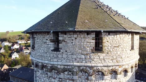 Luftaufnahme-Einer-Malerischen-Mittelalterlichen-Burg-In-Einer-Traditionellen-Deutschen-Stadt