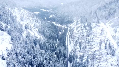 Vista-Aérea-Inclinada-Hacia-Arriba-De-Un-Camino-Rural-De-Montaña-Invernal-Entre-árboles-Perennes-Cubiertos-De-Nieve