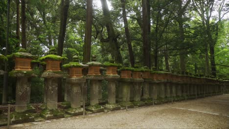 Fila-De-Linternas-Doradas-De-Piedra-Cubiertas-De-Musgo-Del-Santuario-Kasugataisha-En-El-Parque-Público-De-Nara