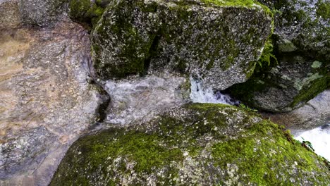 Mossy-Rocks-and-Stream-Close-Up,-Felgueiras,-Portugal