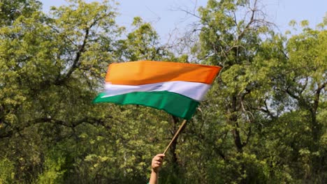 Indische-Dreifarbige-Nationalflagge-Weht-Tagsüber-In-Der-Hand-Mit-Waldhintergrund