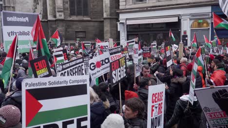 Crowd-with-Banners-and-Flags-at-Pro-Palestine-Protest,-London