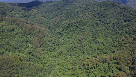 Currumbin-Valley-With-Lush-Dense-Rainforest-In-Queensland,-Australia---Drone-Orbit