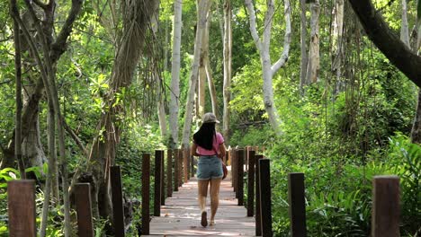 Back-View-Of-Asian-Woman-Walking-On-Wooden-Walkway-Through-Mangrove-Forest-In-Rayong,-Thailand