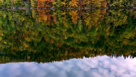 Eine-Faszinierende-Spiegelung-Eines-Lebendigen-Herbstwaldes,-Der-Sich-In-Einem-Stillen-See-Spiegelt