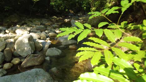 Walking-POV-creek-river-and-forest-in-Minca,-Colombia-nature-landscape