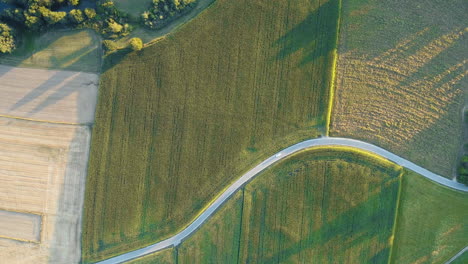 Top-down-view-aerial-drone-shot-of-a-curvy-road-with-a-car-in-the-German-countryside-in-Bravaria-surrounded-by-wheat-fields