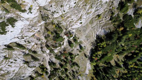 üppige,-Grüne-Berge-Spiegeln-Sich-In-Der-Ruhigen-Stille-Eines-Sees