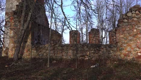 Walk-near-destroyed-church-boulder-and-brick-wall,-countryside-environment
