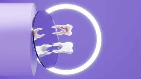 Vertikaler-Abschnitt-Des-Backenzahns,-Der-Nerven-Und-Implantate-Zeigt,-Rotiert-über-Dem-Zahnarztspiegel,-Diagnosemodell,-Dentalstudio,-3D-Rendering-Animation