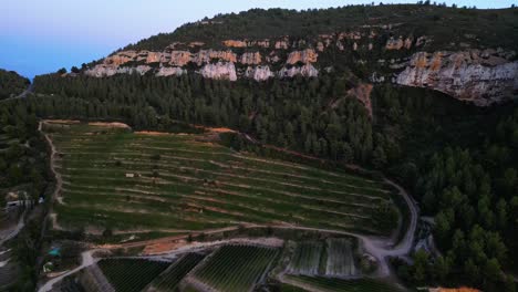 Drohnenaufnahme-Von-Terrassen-Mit-Landwirtschaftlichen-Feldern-Und-Einem-Bergdorf-Im-Calanque-Nationalpark,-Frankreich