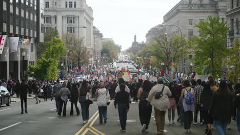 Una-Toma-Amplia-De-Una-Gran-Multitud-De-Manifestantes-Pro-palestinos-Se-Reúnen-En-Las-Calles-De-D.