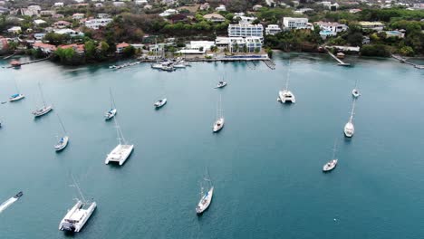 Pickly-bay-marina-in-grenada-with-yachts-anchored-on-tranquil-waters,-aerial-view