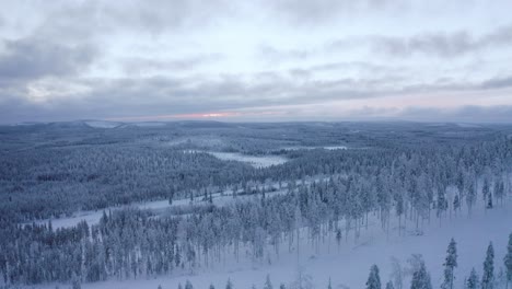 Aerial-view-of-the-sun-goes-down-on-the-forest-of-snow-in-Lapland-at-Great-Taiga-Forest-in-Finland