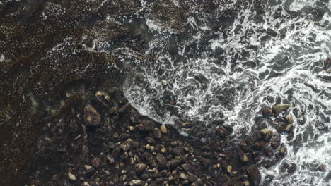 4K-Ansicht-Von-Oben:-Felsstrand-Und-Kelp-Lagune-Mit-Ruhendem-Seehund