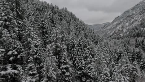 Bosque-Nevado-De-Invierno-En-American-Fork-Canyon,-Utah---FPV-Aéreo
