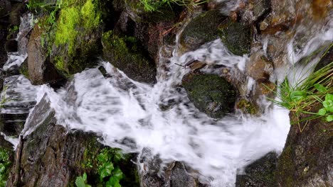 close-up-of-a-mountain-creek-that-flows-over-stones