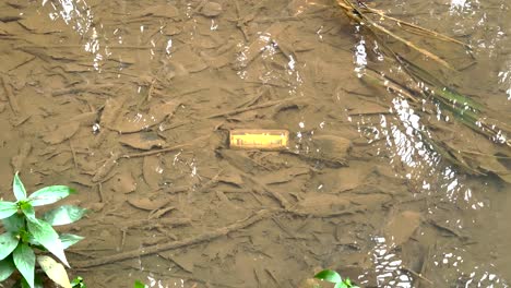 Dirty-Water-Of-A-Shallow-Water-With-Litter