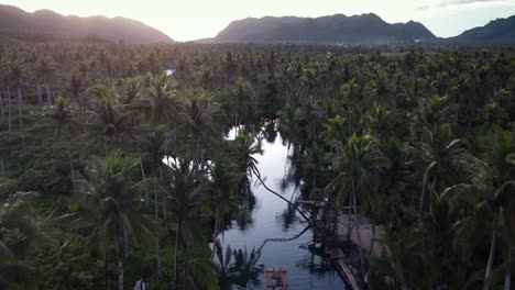 Sunset-view-of-famous-tree-swing-in-Maasin-river-palm-forest,-aerial-dolly