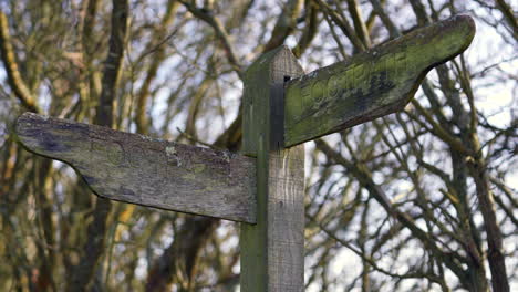 Close-up-mossy-Footpath-wooden-signs-UK-walking-hiking-trail