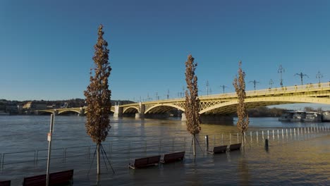 River-Danube-Flooding-at-Margaret-Bridge,-Trees-and-Public-Benches-under-water---panning-shot--at-Budapest,-Hungary---December-28,-2023