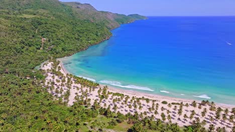 Kokosnussbäume-Am-Weißen-Sandstrand-Mit-Türkisfarbenem-Wasser