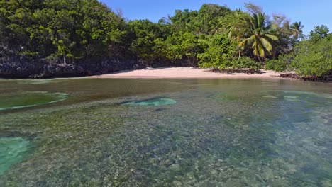 Korallen--Und-Unterwasserwelt-Im-Klaren-Karibischen-Meer-Mit-Sandstrand