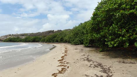 Sonniger-Tag-Am-Strand-Von-Segrèssè,-Grenada-Mit-üppigem-Grün-Und-Klarem-Blauen-Himmel,-Wellen,-Die-Sanft-Ans-Ufer-Spülen