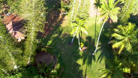 Aerial-birdseye-of-vegetation-and-parked-cars-revealing-Koki-Beach,-Hawaii