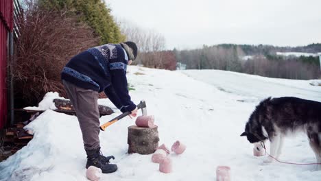 A-Man-is-Splitting-Frozen-Dogfood-With-an-Axe---Static-Shot