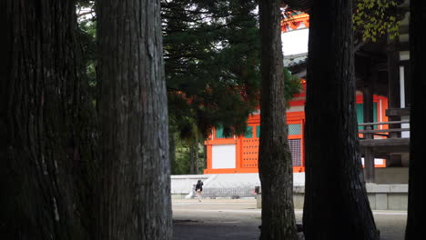 Visitors-walk-by-the-Red-Konpon-Daito-pagoda-in-Koyasan,-surrounded-by-towering-trees