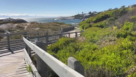 A-wooden-boardwalk-leading-down-to-the-ocean-at-Boulders-Beach-in-Simons-Town,-South-Africa