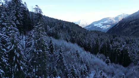 Obersee-Glarus-Switzerland-low-flight-over-forest-valley-in-the-Alps