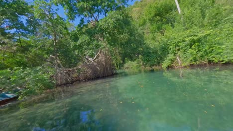 Caño-Frío-River-Through-Mangrove-Forest-In-Las-Galeras,-Samana,-Dominican-Republic