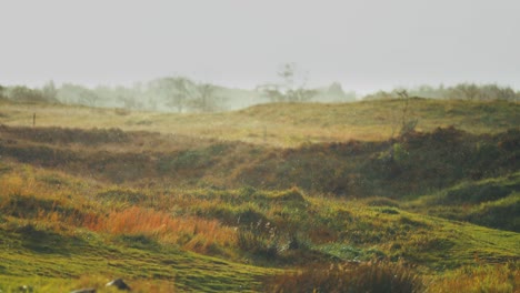 Leichter-Regen-Nieselt-über-Die-Grünen,-Grasbedeckten-Hügel