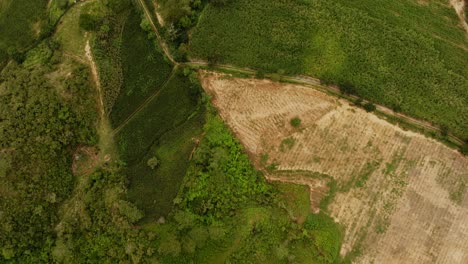 Aerial-over-crop-field-reveals-the-Hill-of-the-Cross-in-Tecalitlan,-the-city,-mountains-and-blue,-cloudy-sky-on-the-horizon