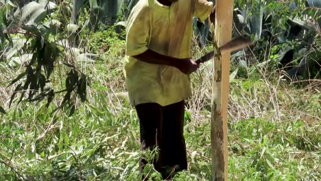 Deforestación,-Cerca-De-Un-Joven-Negro-Quita-La-Corteza-De-Un-árbol-Con-Una-Panga