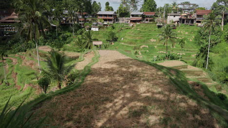 Tegallalang-Reisterrassenfarmen,-Abgestufte-Landschaften-In-Hügeln