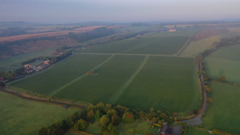 Aerial-wide-shot-of-misty-vineyard-at-sunrise