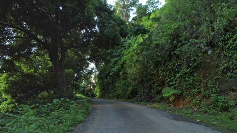 Road-In-The-Forest-In-Guadeloupe,-France---Drone-Forward