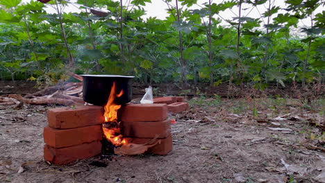 Una-Persona-Hace-Chai-Al-Aire-Libre