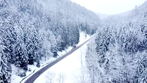 Aerial-winter-landscape-of-snow-capped-evergreen-trees-along-a-rural-mountain-road