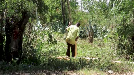 Un-Joven-Negro-Quita-La-Corteza-De-Un-árbol-De-Un-Tronco-Con-Una-Panga