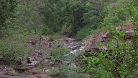 Tranquil-stream-flowing-through-lush-Cajones-de-Chame,-Panama,-surrounded-by-vibrant-greenery