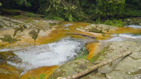 Gentle-stream-flowing-over-rocks-in-lush-Oxapampa,-Peru-jungle,-vibrant-greenery-surrounds