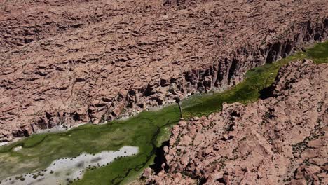Aerial-tilt:-green-valley-hides-in-rugged-red-rock-Bolivian-landscape