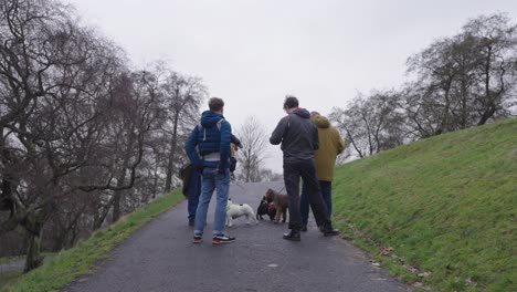 Grupo-De-Personas-Conversando-Y-Sus-Perros-En-El-Parque